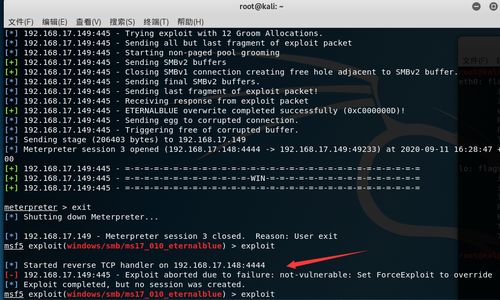 Kali Linux系統下防御永恒之藍勒索病毒實戰指南 網絡安全工程師的技術服務詳解